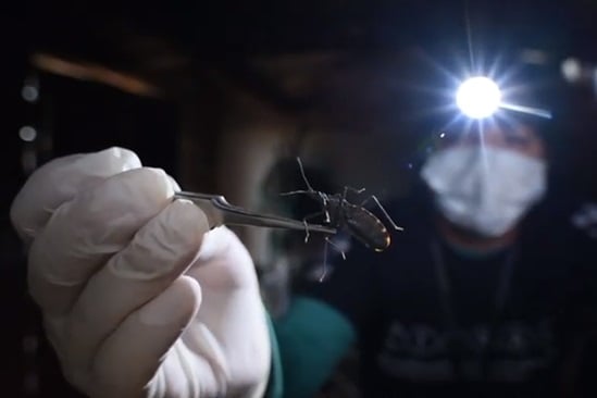 CHAGAS: Fighting a silence disease