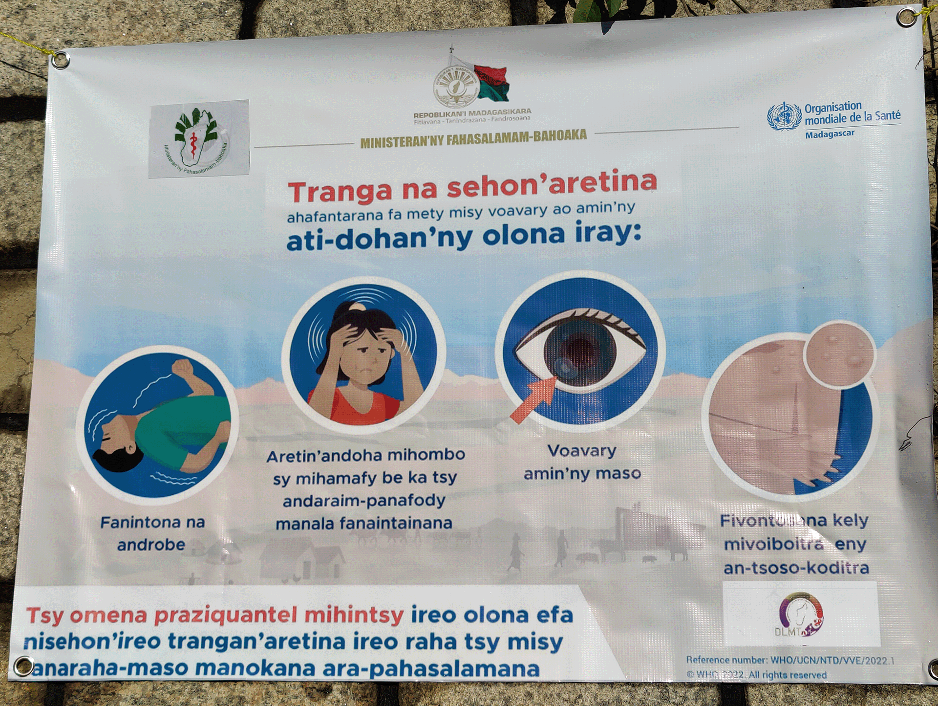 A one health approach to Integrate interventions-4 A poster highlighting the one health approach to Integrate interventions to control of schistosomiasis and Taenia solium