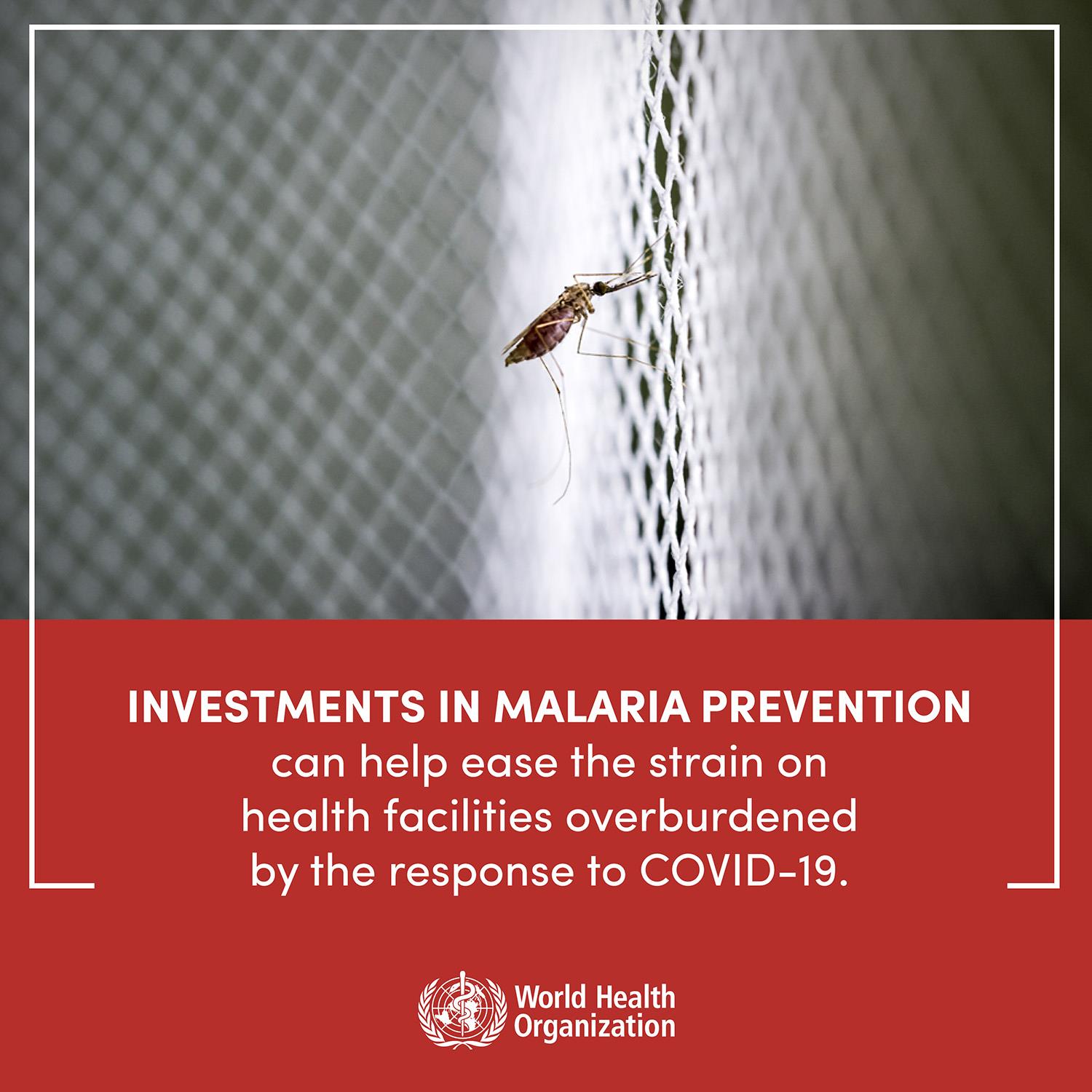 malaria-covid-19-prevention-eng